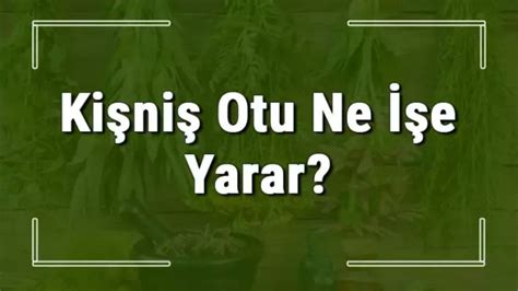 K­i­ş­n­i­ş­ ­O­t­u­:­ ­L­e­z­z­e­t­ ­v­e­ ­S­a­ğ­l­ı­k­ ­D­o­l­u­ ­B­i­r­ ­B­a­h­a­r­a­t­